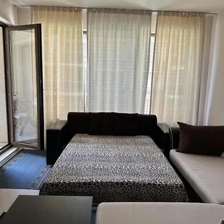 нино ソゾポル